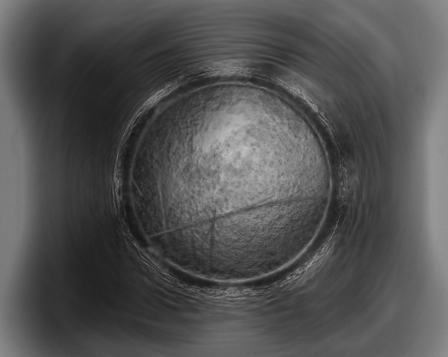 X0000097810922200803201414