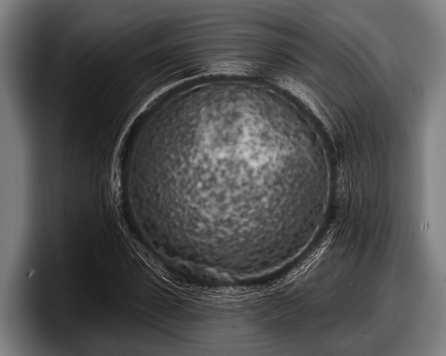 X0000097810923200803201414