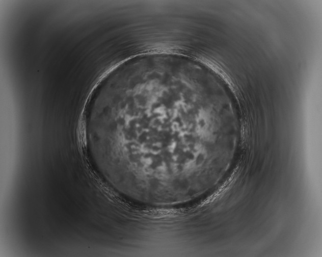 X0000097810925200803201414