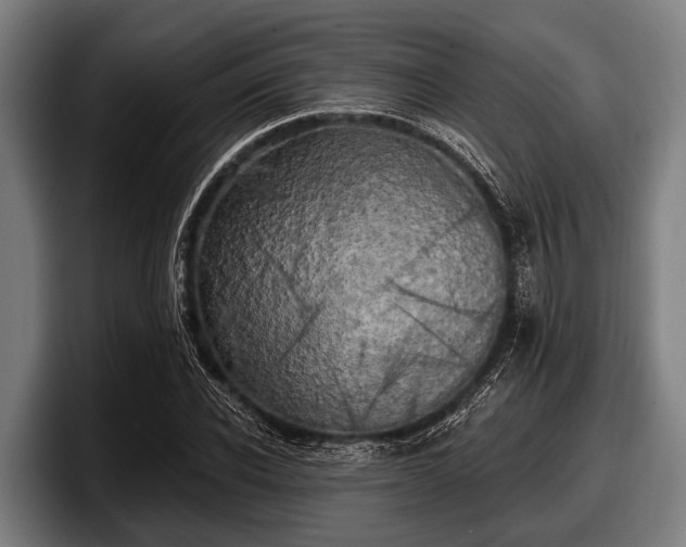 X0000097810926200803201414