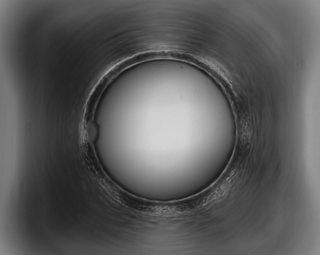 X0000097810927200803201414