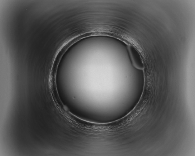 X0000097810928200803201414