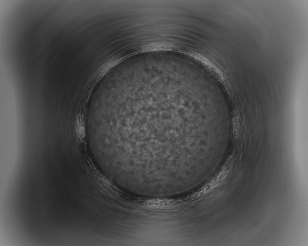 X0000097810929200803201414