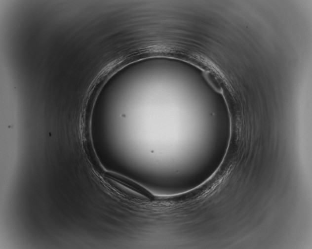 X0000097810930200803201414