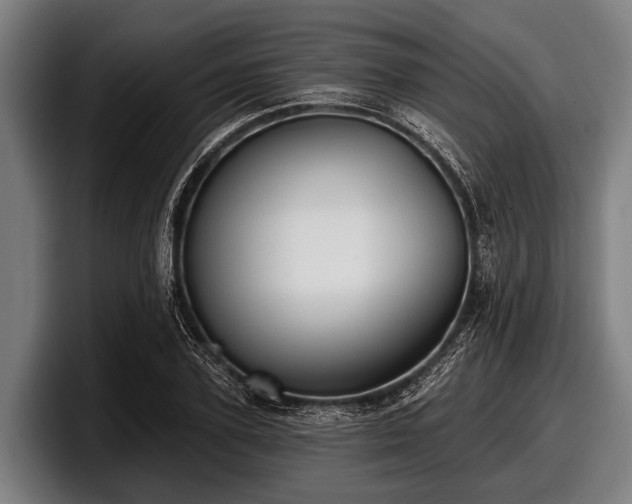 X0000097810931200803201414