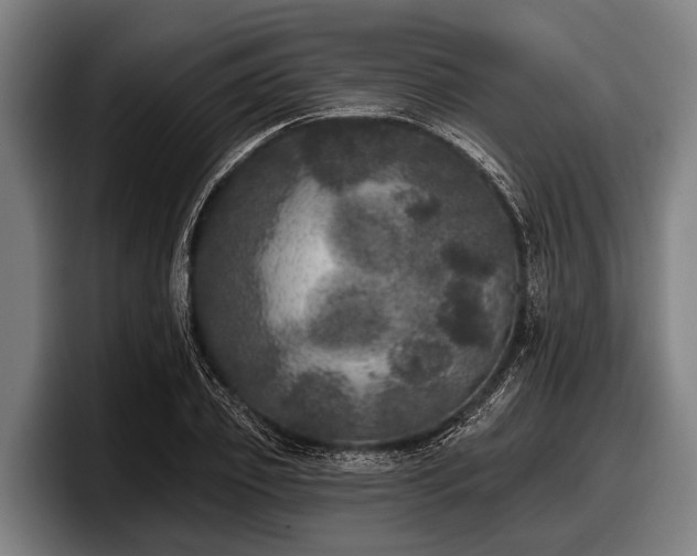 X0000097810933200803201414