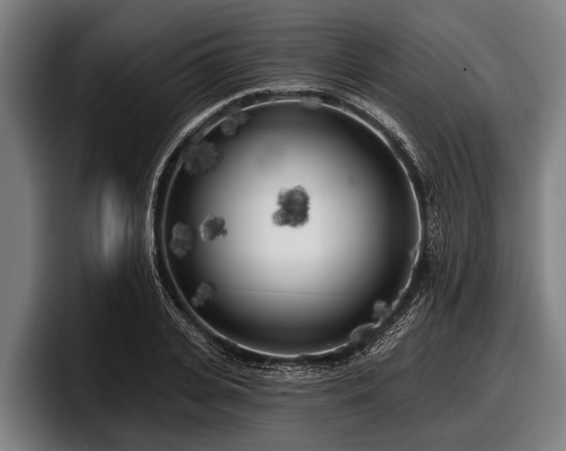 X0000097810935200803201414