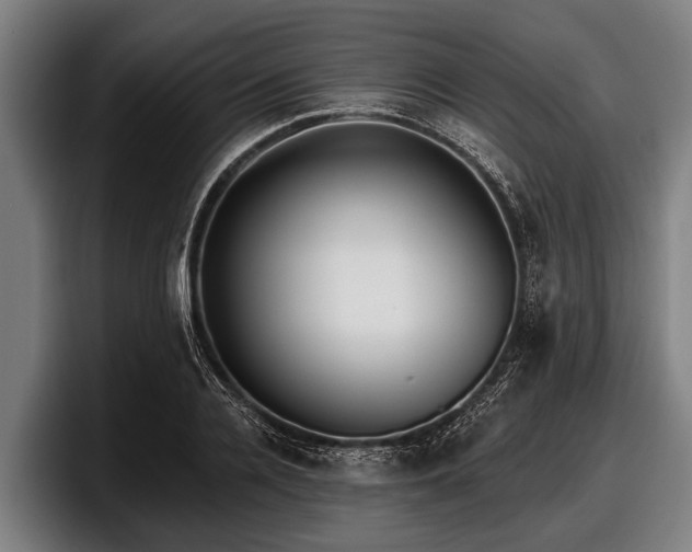 X0000097810936200803201414