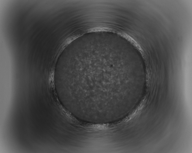 X0000097810937200803201414