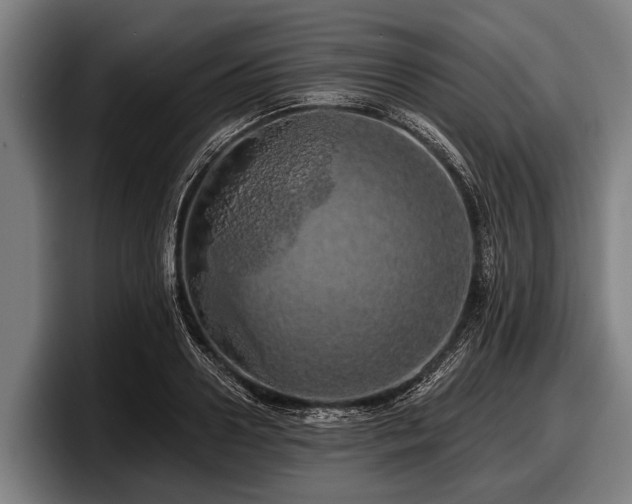 X0000097810938200803201415