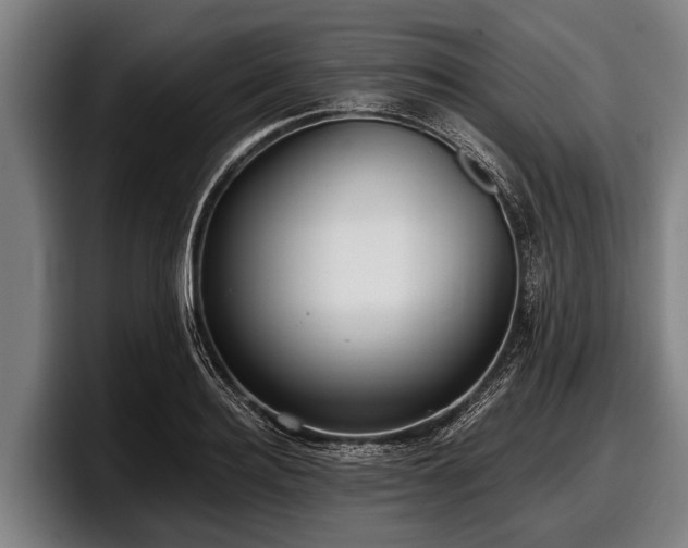 X0000097810940200803201415