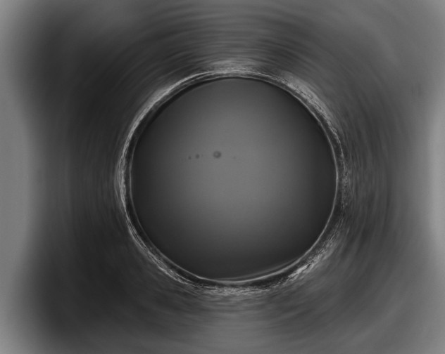 X0000097810941200803201415