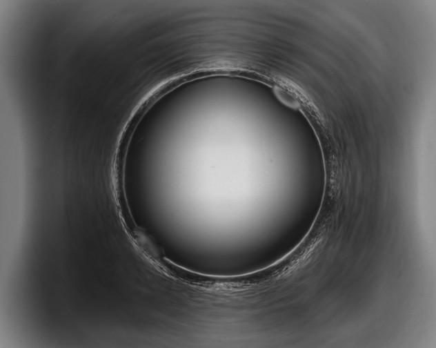 X0000097810942200803201415