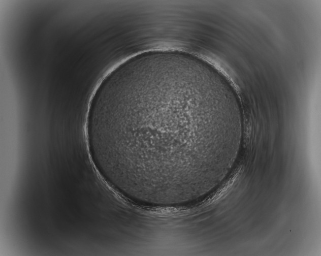 X0000097810943200803201415