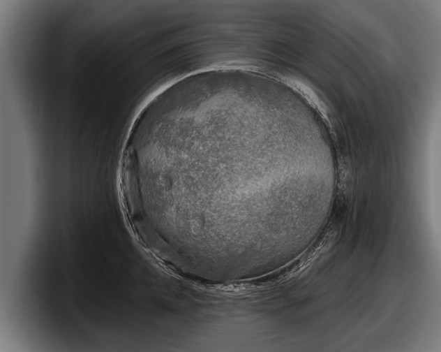 X0000097810952200803201415