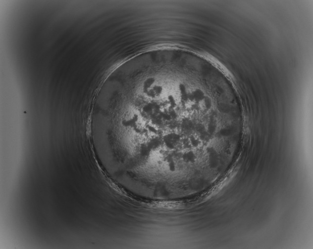 X0000097810953200803201415