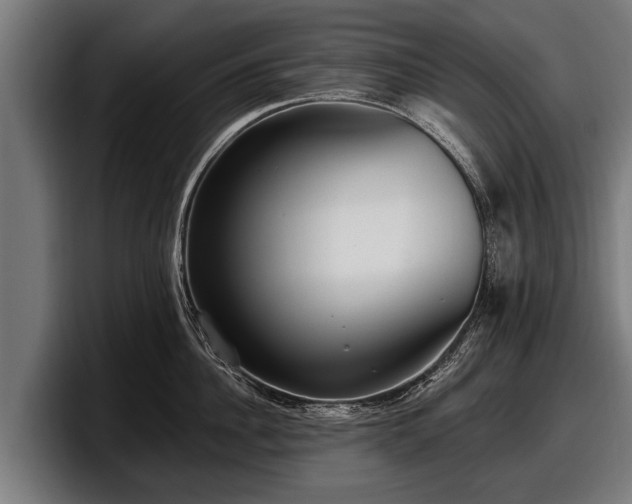 X0000097810956200803201415