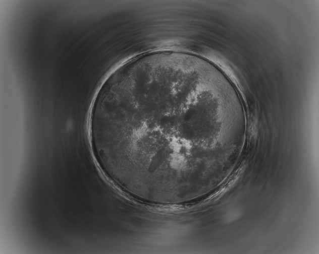 X0000097810957200803201415