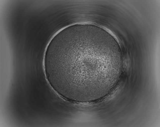 X0000097810959200803201415