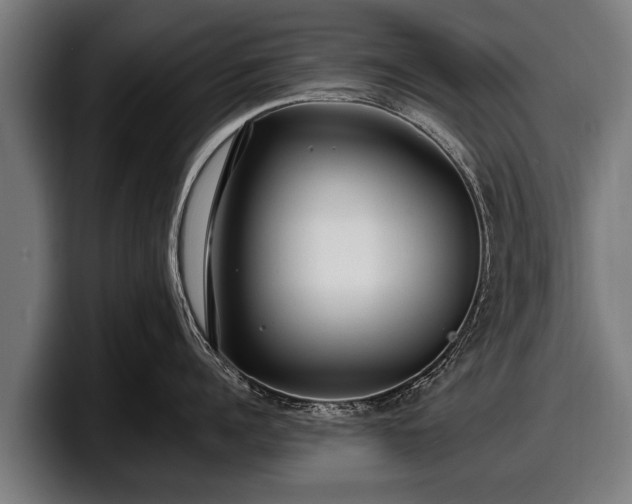 X0000097810960200803201415