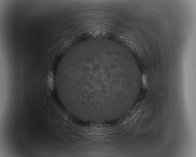 X0000097810963200803201414