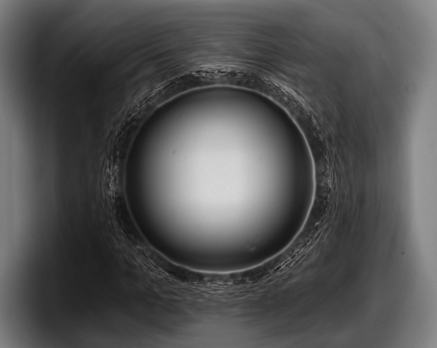 X0000097810965200803201414