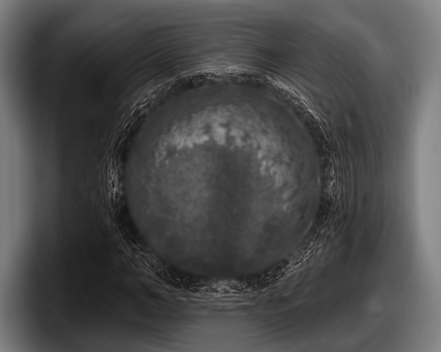 X0000097810966200803201414