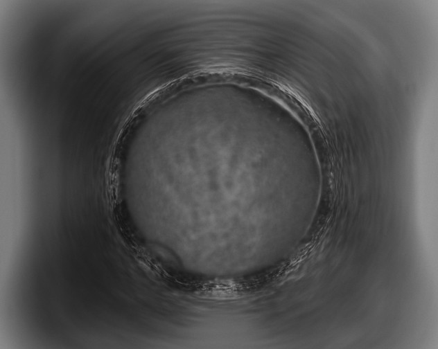 X0000097810968200803201414