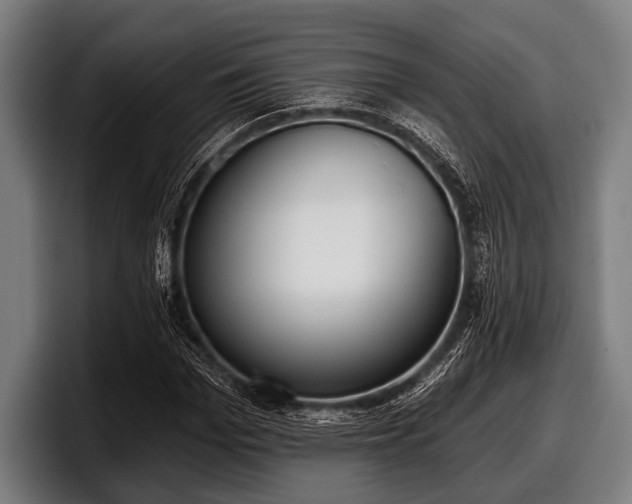 X0000097810969200803201414