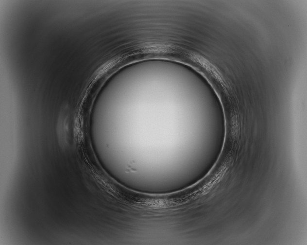 X0000097810970200803201414