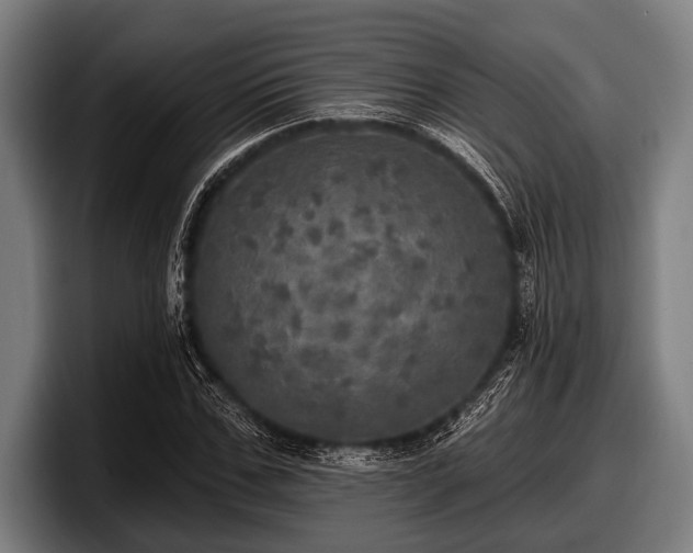 X0000097810971200803201414