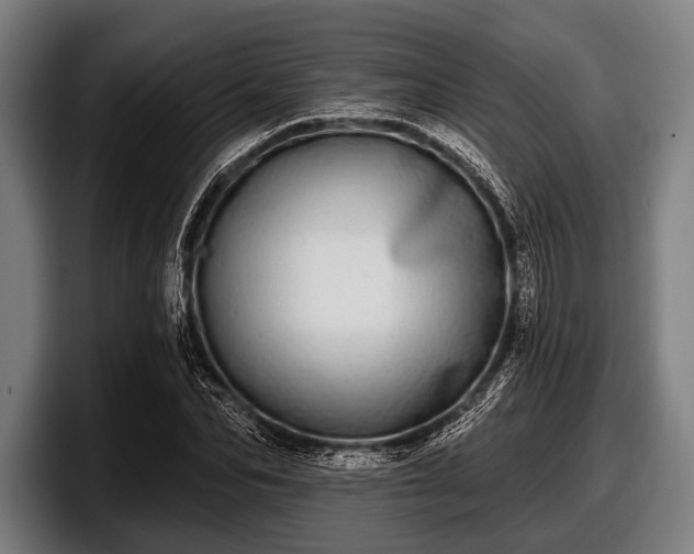 X0000097810974200803201414