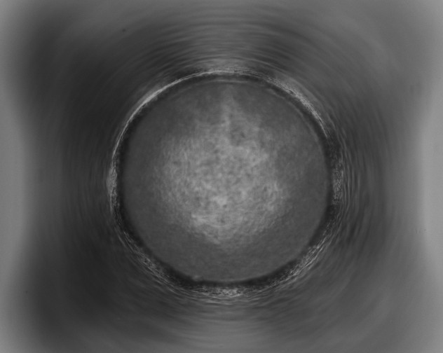 X0000097810975200803201414