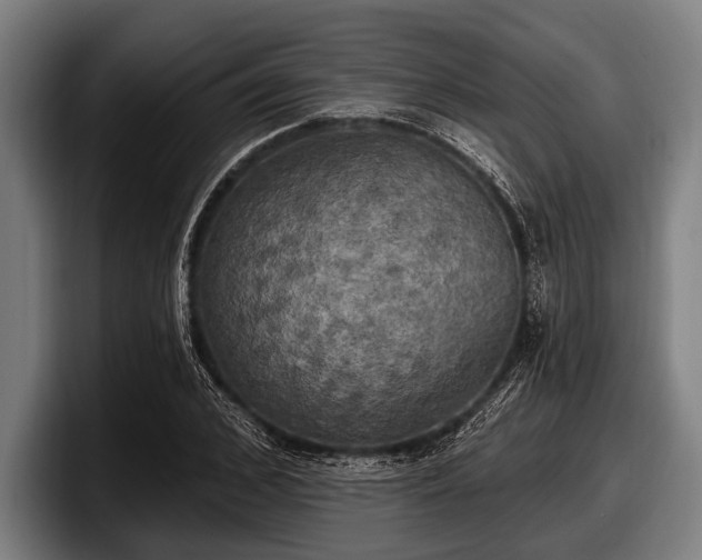 X0000097810976200803201414