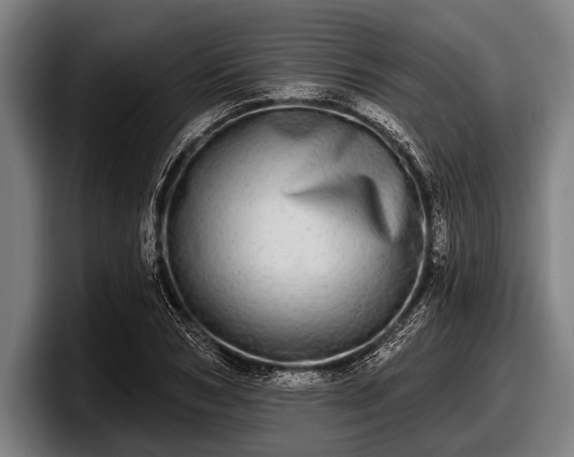 X0000097810978200803201414