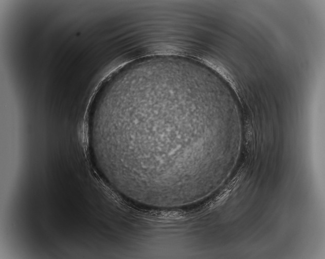 X0000097810979200803201414