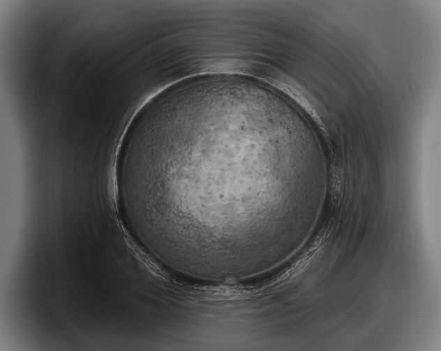 X0000097810980200803201414