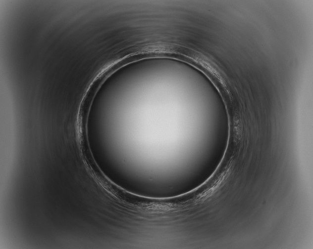 X0000097810981200803201414