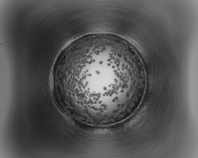 X0000097810982200803201414