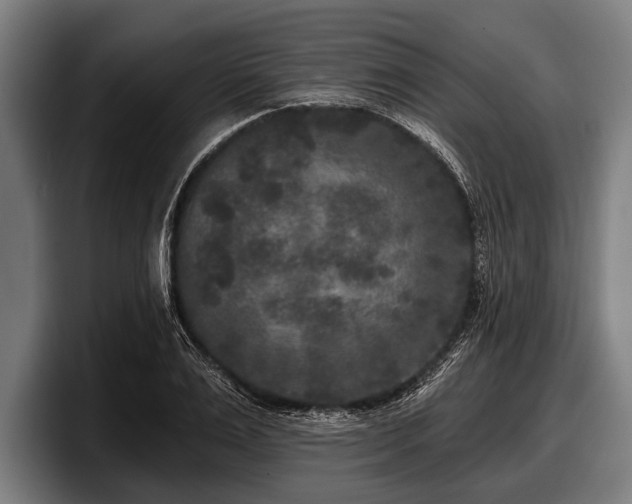 X0000097810983200803201414