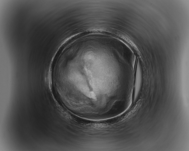 X0000097810984200803201414