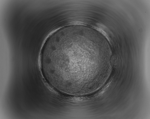 X0000097810987200803201414