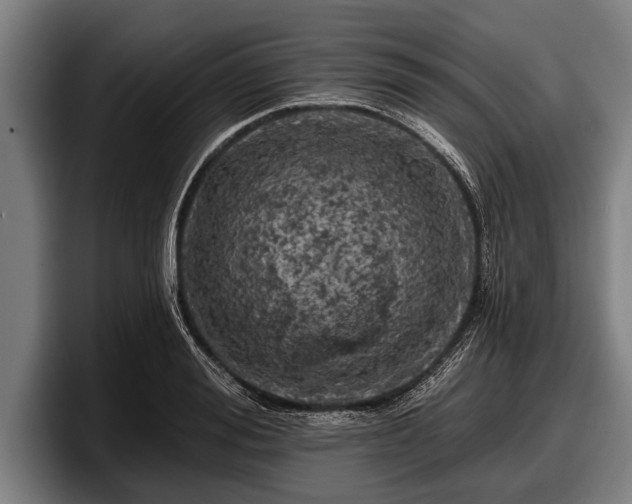 X0000097810988200803201414