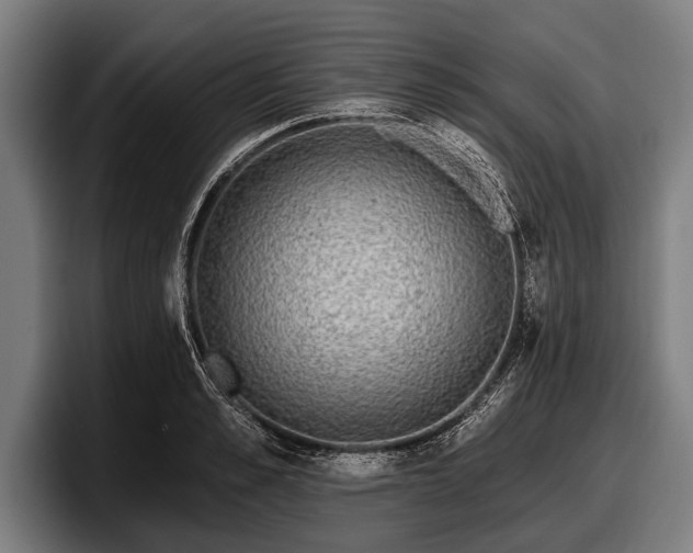 X0000097810989200803201414