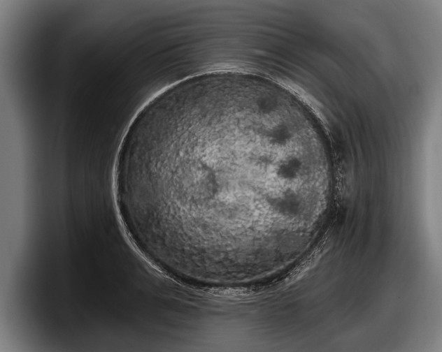 X0000097810991200803201414