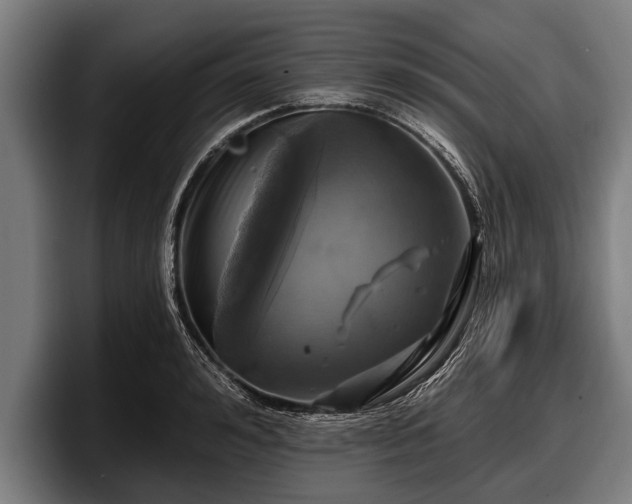 X0000097810992200803201414