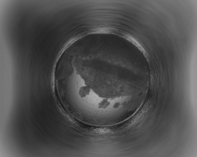 X0000097810994200803201414