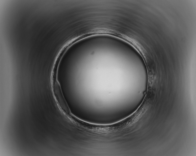 X0000097810995200803201414