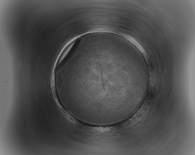 X0000097810996200803201414