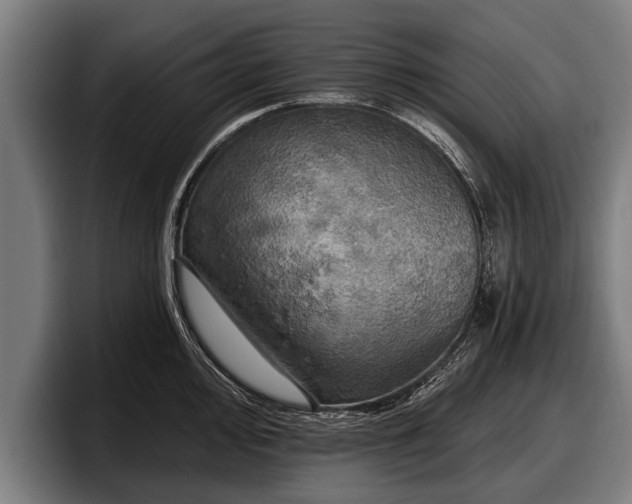 X0000097811000200803201414